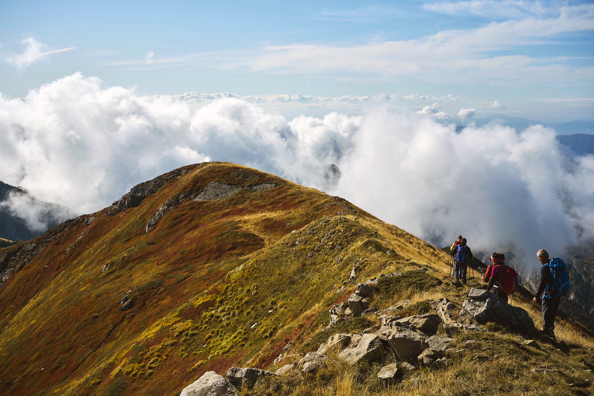 Escursioni Guide in partnership - Terre in cammino