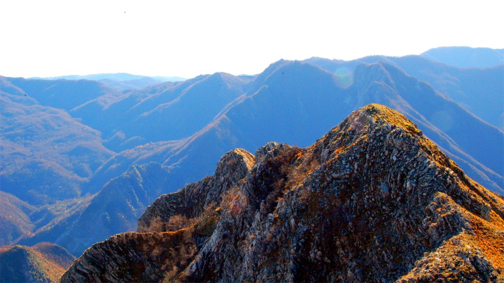 Balzo Nero per la Coccia di Vico