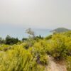 MARE PROFUMO DI MARE: CALA SALTO DEL CERVO