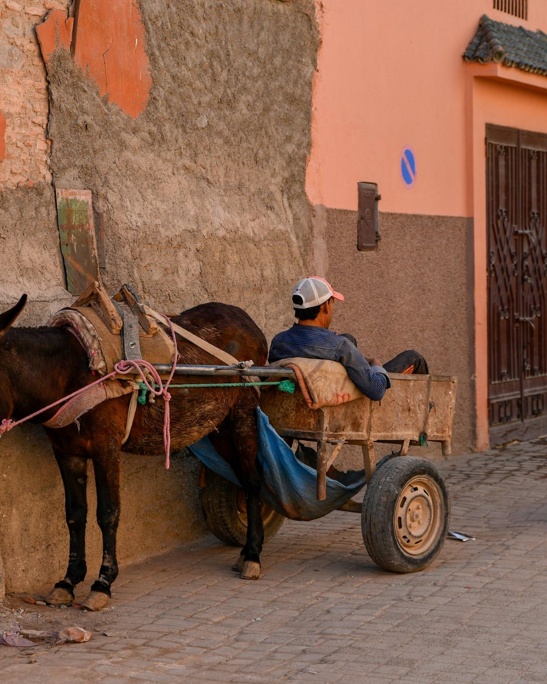 CAPODANNO IN MAROCCO da mercoledì 30 dicembre a domenica 3 gennaio - 5 giorni tra deserto, medine e kasbah - immagine 3