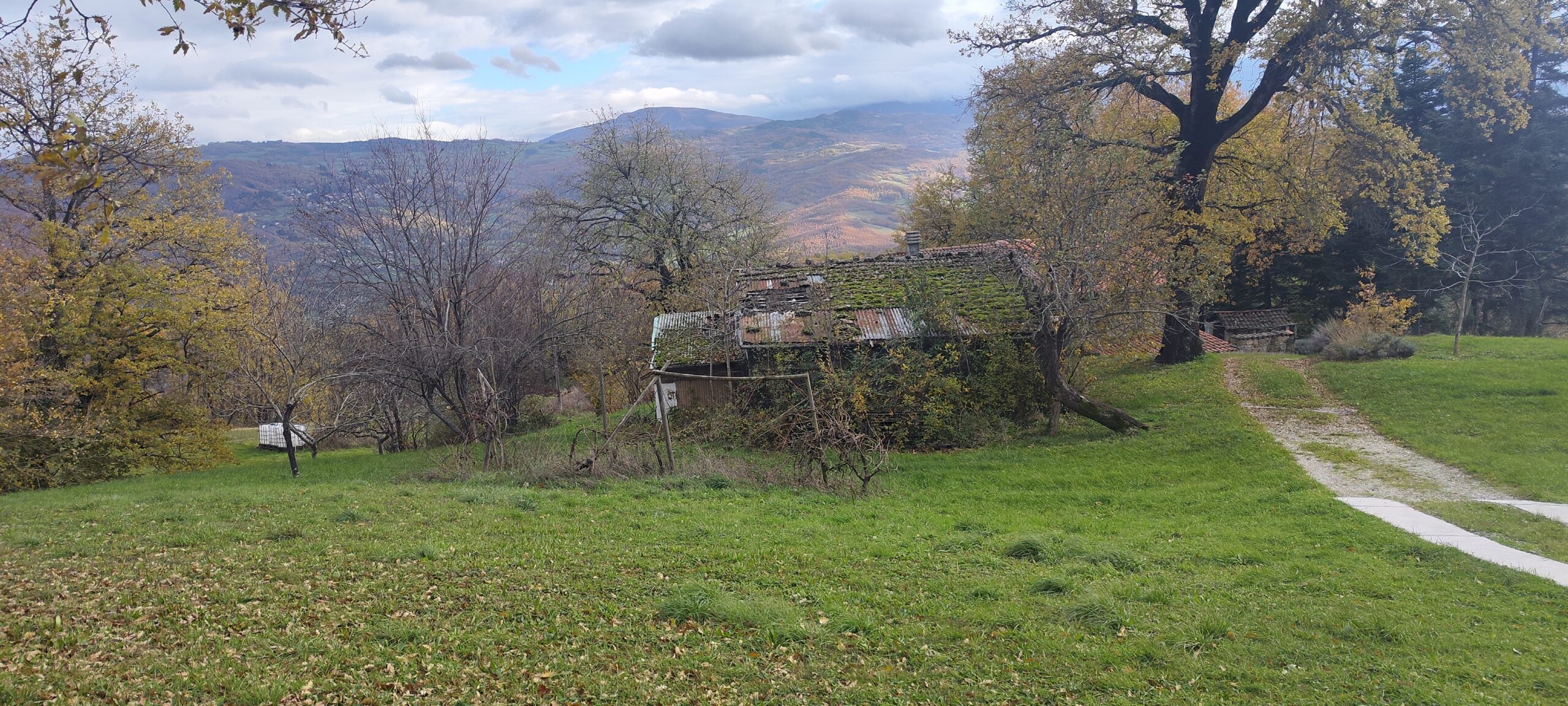 Domenica 1 novembre : GRANAGLIONE (BO) passeggiando tra oro e rame, i colori dell'autunno. - immagine 5