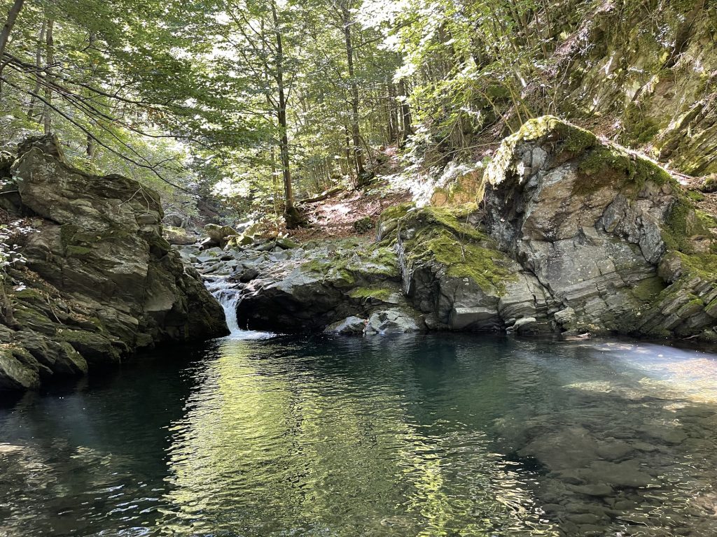 Anello Acquerino, Cascina di Spedaletto, Monachino