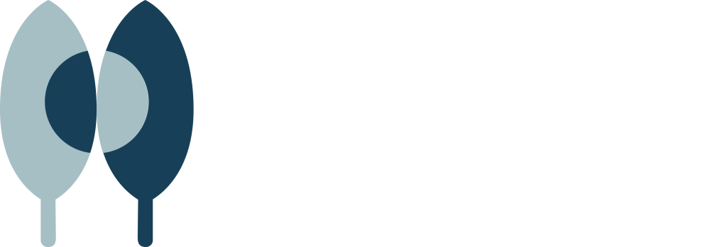 Terre in cammino