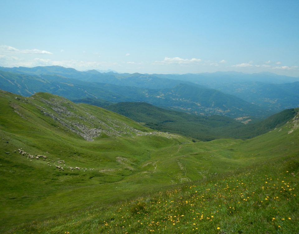 Monte Libro Aperto