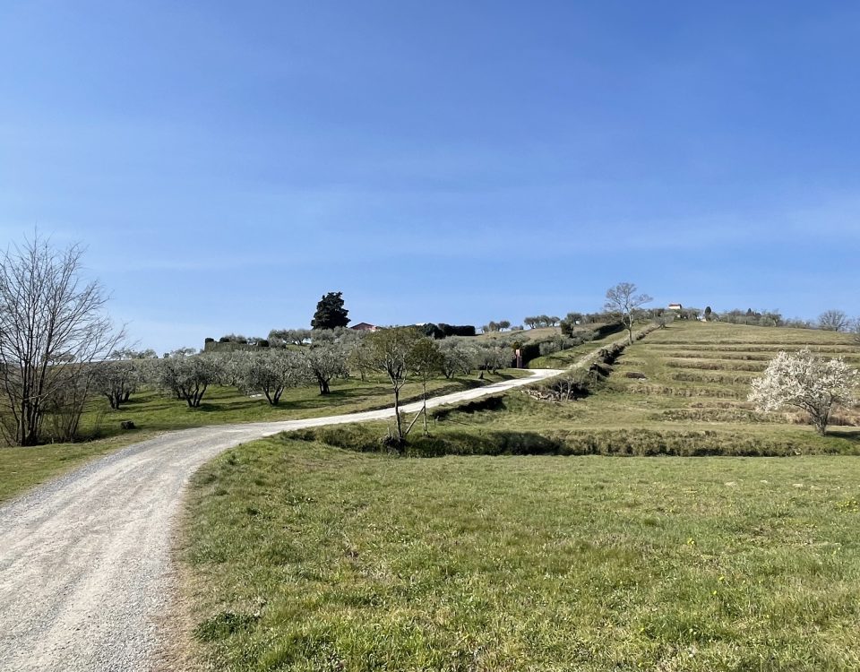 Pontelungo Giaccherino Castellina