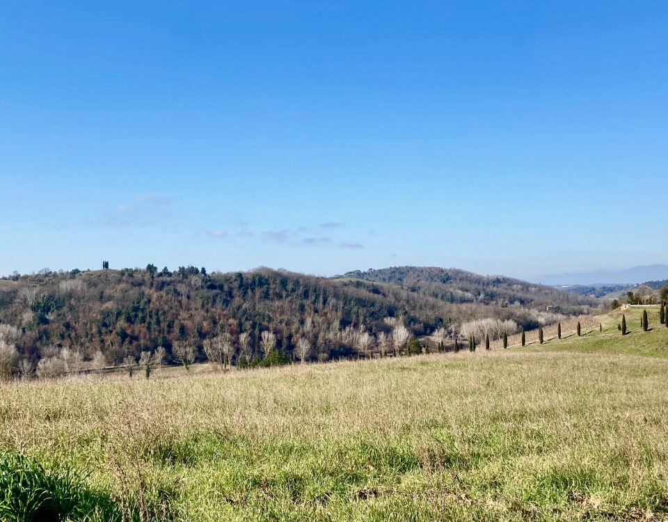 Via Francigena Coiano Gambassi