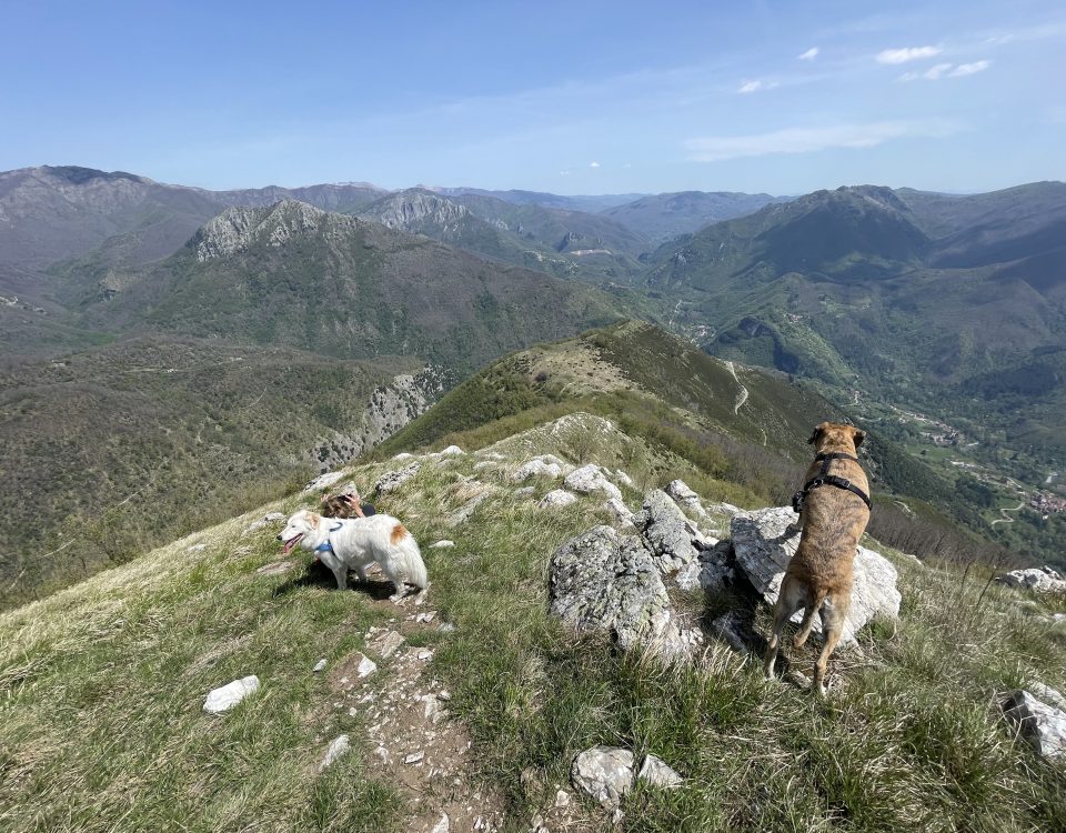 Alta Via dei Pastori e Prato Fiorito