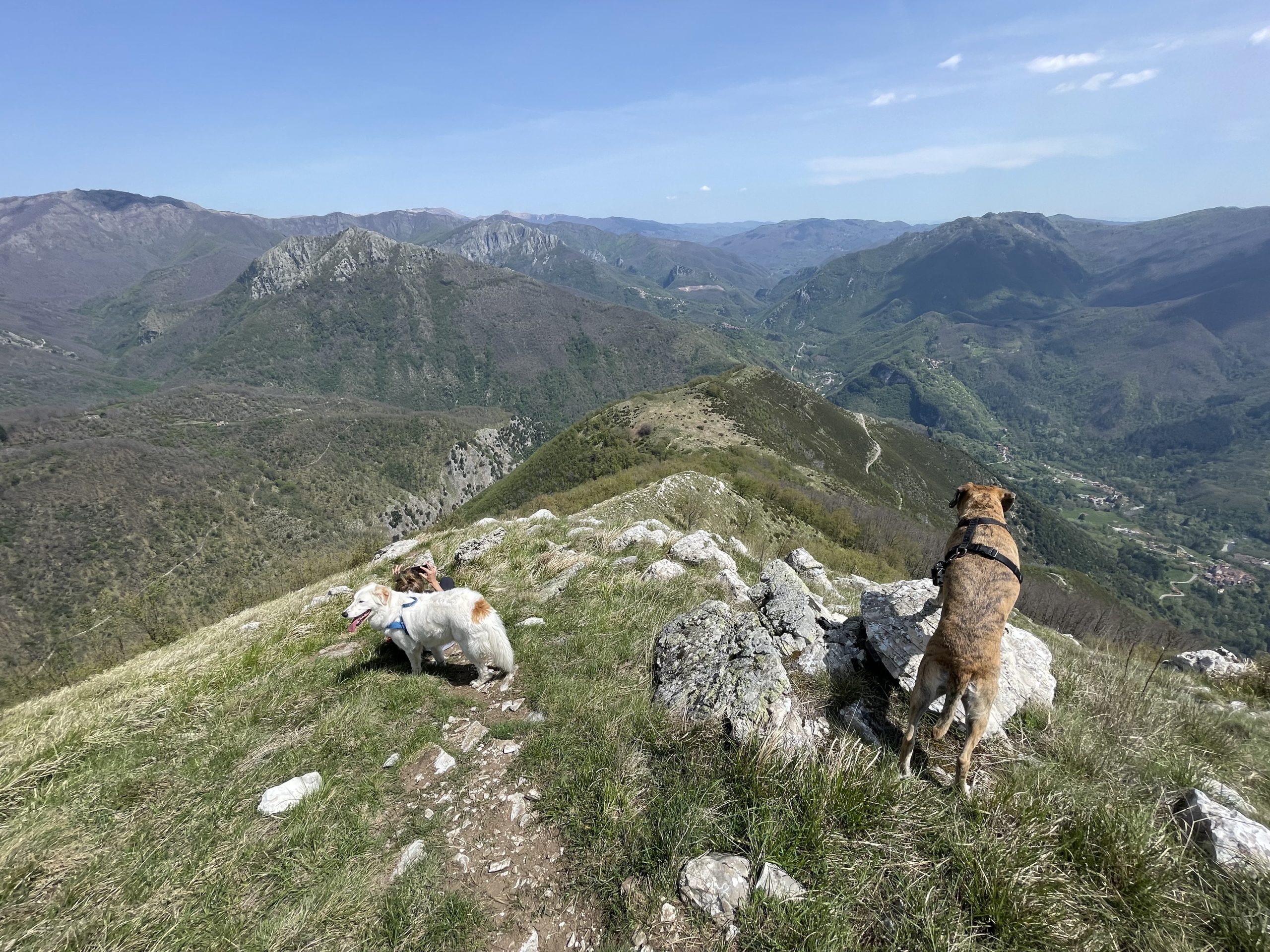 Alta Via dei Pastori e Prato Fiorito